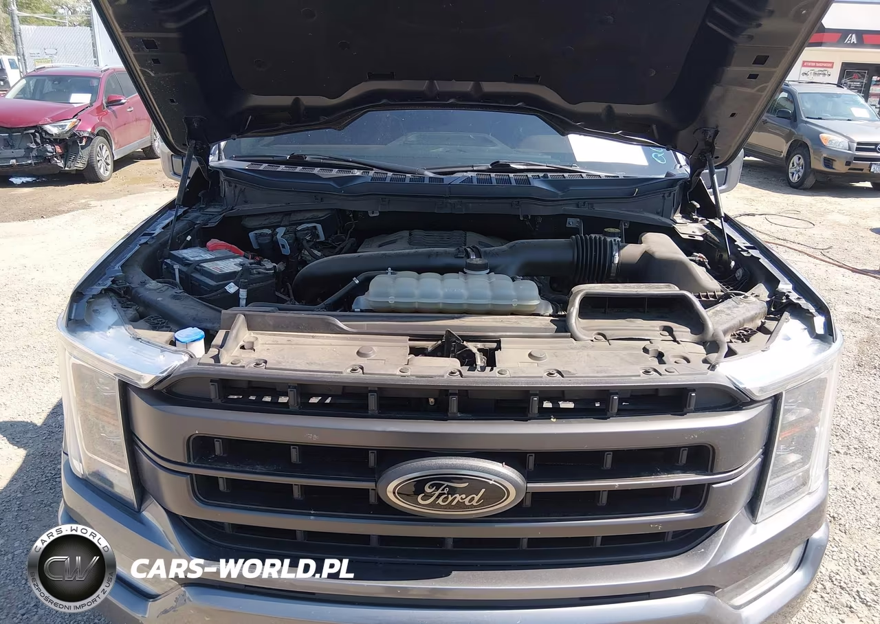 2021 Ford F-150 Lariat VIN:1FTFW1E83MFA82418 - 10