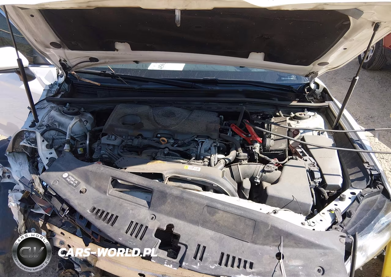 2020 Toyota Camry Le VIN:4T1C11AK5LU933529 - 10
