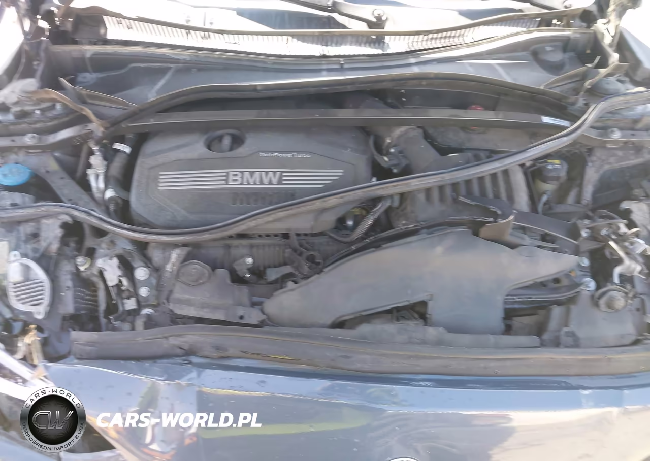 2021 BMW 228I Gran Coupe Sdrive VIN:WBA53AK0XM7H75287 - 10