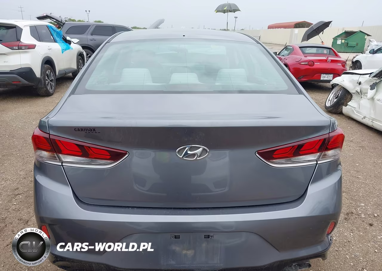 2019 Hyundai Sonata Se VIN:5NPE24AF8KH794715 - 17