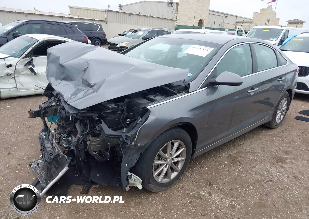2019 Hyundai Sonata Se VIN:5NPE24AF8KH794715 - 2