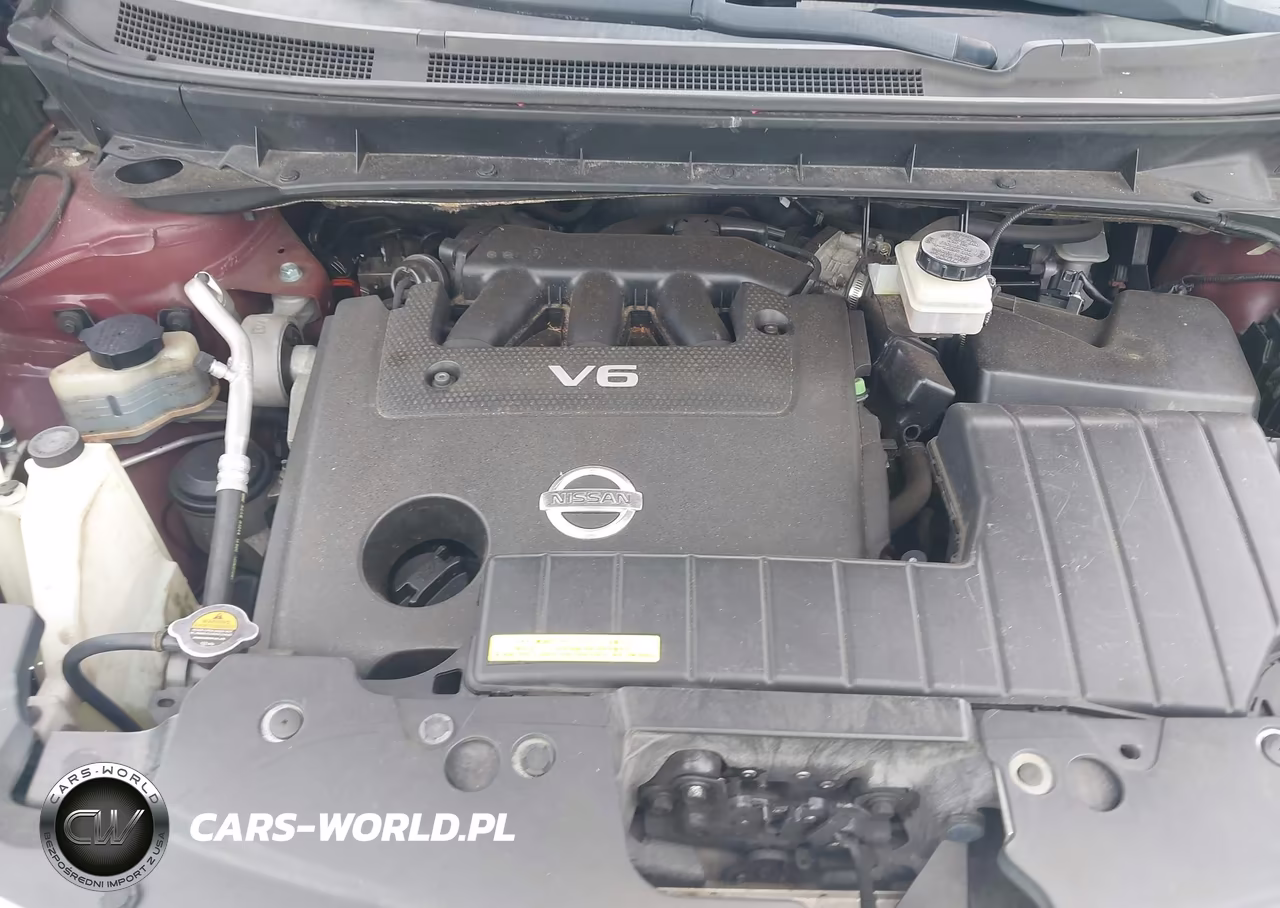 2009 Nissan Murano Sl VIN:JN8AZ18U79W017464 - 10