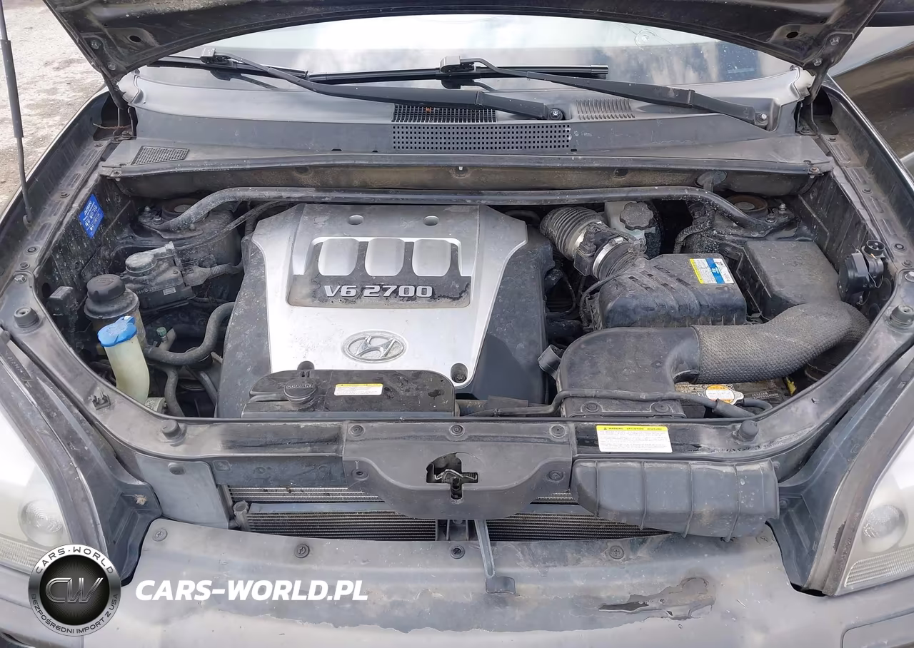 2006 Hyundai Tucson Gls-Limited VIN:KM8JN72D76U334229 - 10