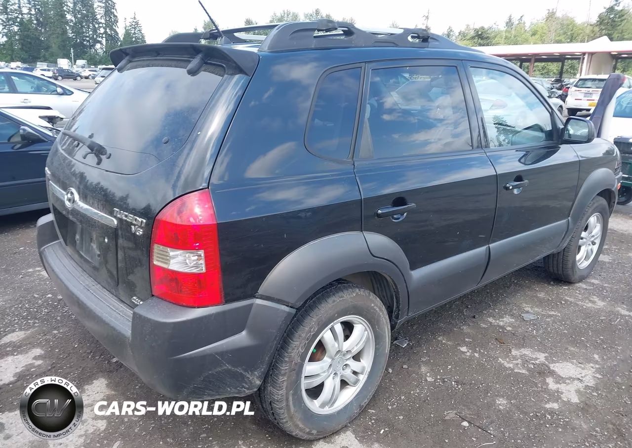 2006 Hyundai Tucson Gls-Limited VIN:KM8JN72D76U334229 - 4