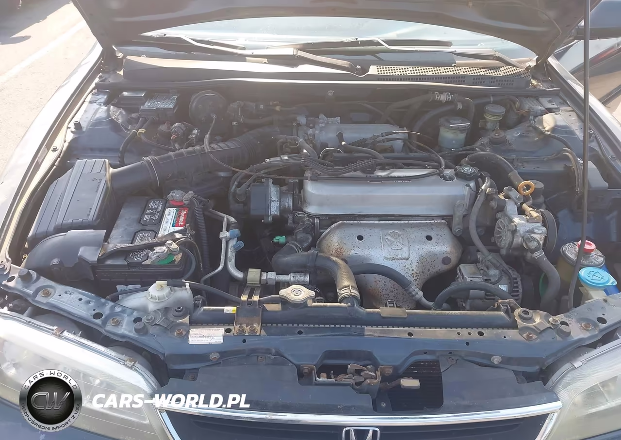 1997 Honda Accord Lx VIN:1HGCD5535VA242805 - 10