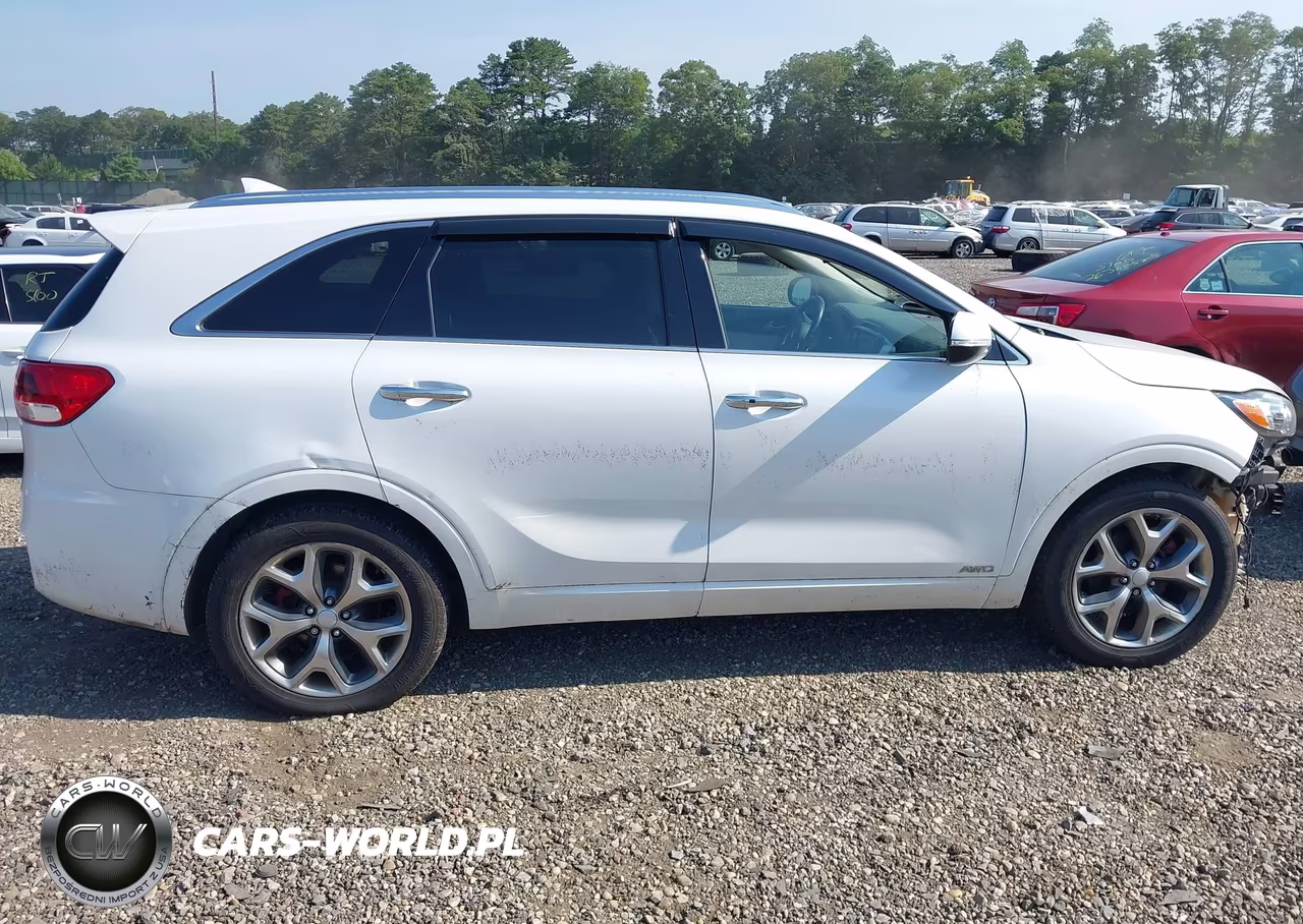 2018 Kia Sorento 3.3L Sx VIN:5XYPKDA55JG384721 - 13