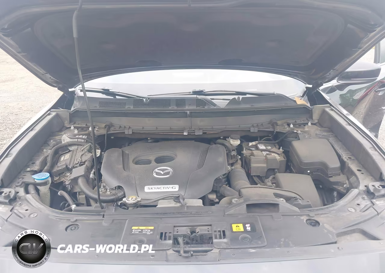 2020 Mazda Cx-9 Sport VIN:JM3TCBBY3L0421791 - 10