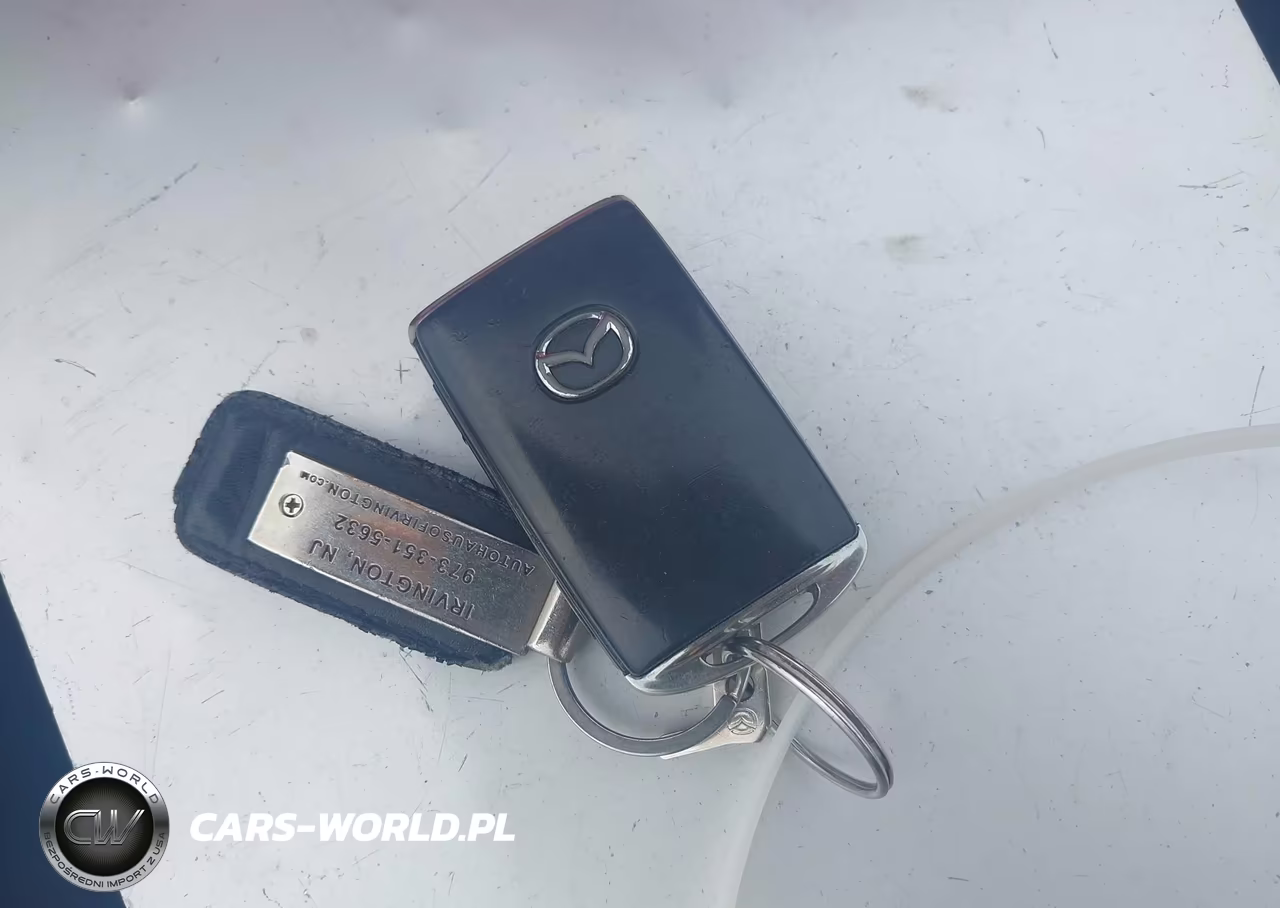 2020 Mazda Cx-9 Sport VIN:JM3TCBBY3L0421791 - 11