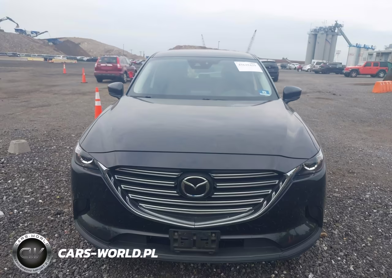 2020 Mazda Cx-9 Sport VIN:JM3TCBBY3L0421791 - 12