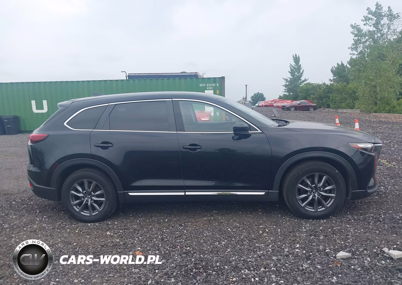 2020 Mazda Cx-9 Sport VIN:JM3TCBBY3L0421791 - 13