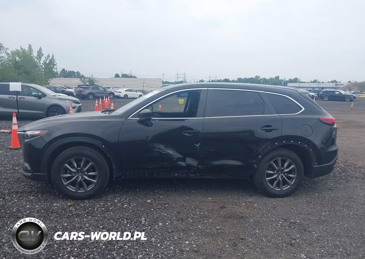 2020 Mazda Cx-9 Sport VIN:JM3TCBBY3L0421791 - 14