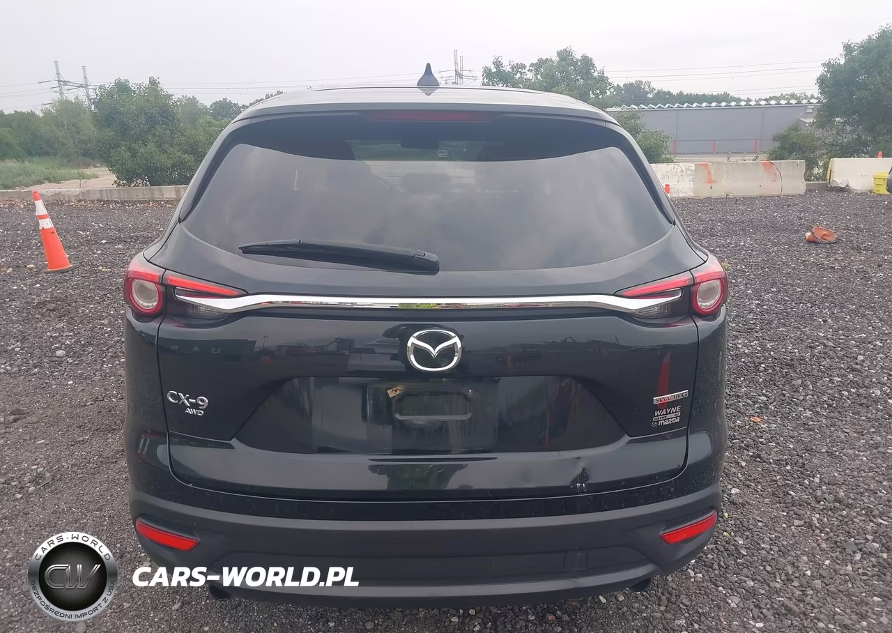 2020 Mazda Cx-9 Sport VIN:JM3TCBBY3L0421791 - 16