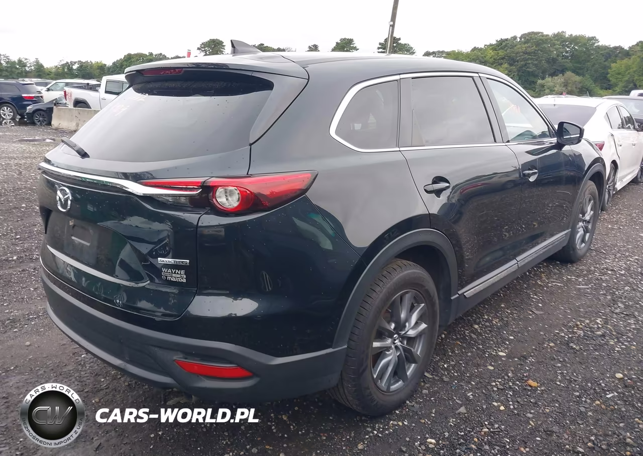 2020 Mazda Cx-9 Sport VIN:JM3TCBBY3L0421791 - 4