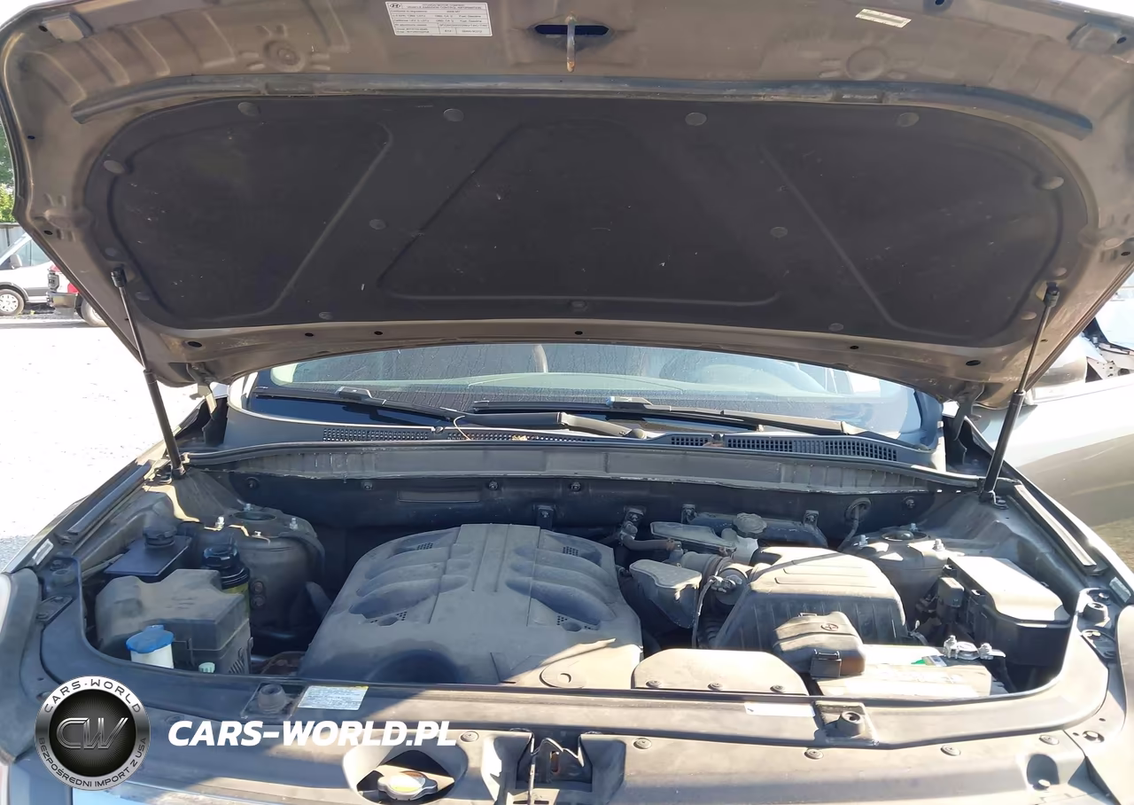 2008 Hyundai Veracruz Gls-Limited-Se VIN:KM8NU13C78U074828 - 10