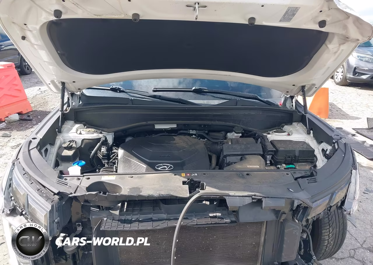 2023 Hyundai Palisade Xrt VIN:KM8R34GE0PU625245 - 10