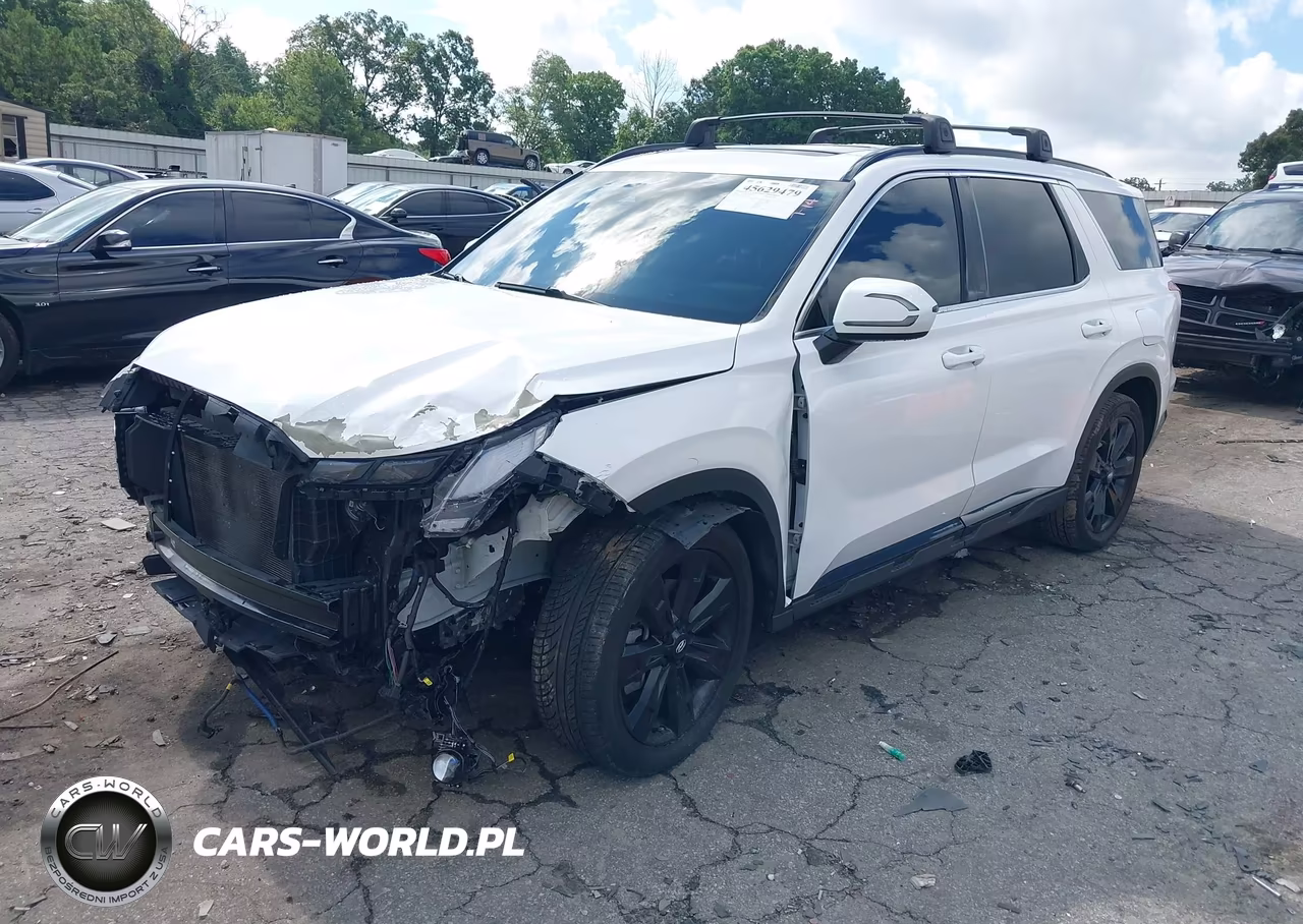 2023 Hyundai Palisade Xrt VIN:KM8R34GE0PU625245 - 2