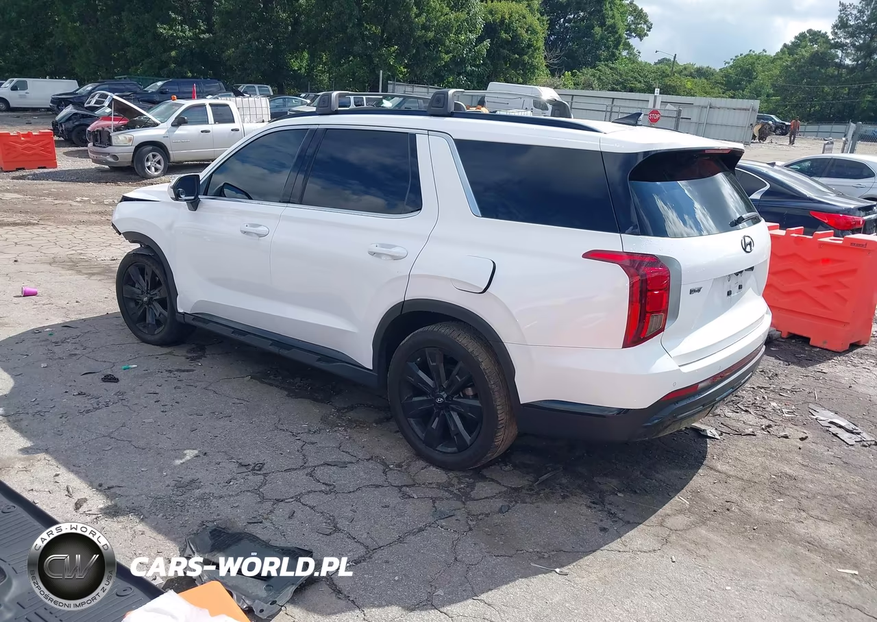 2023 Hyundai Palisade Xrt VIN:KM8R34GE0PU625245 - 3