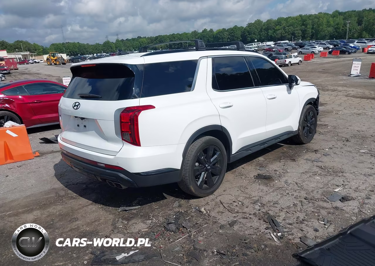 2023 Hyundai Palisade Xrt VIN:KM8R34GE0PU625245 - 4