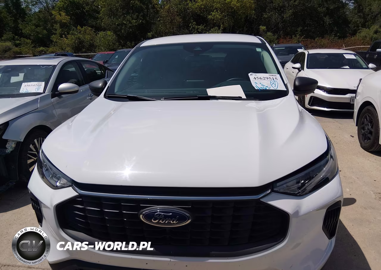 2024 Ford Escape Active VIN:1FMCU0GN4RUA52042 - 12