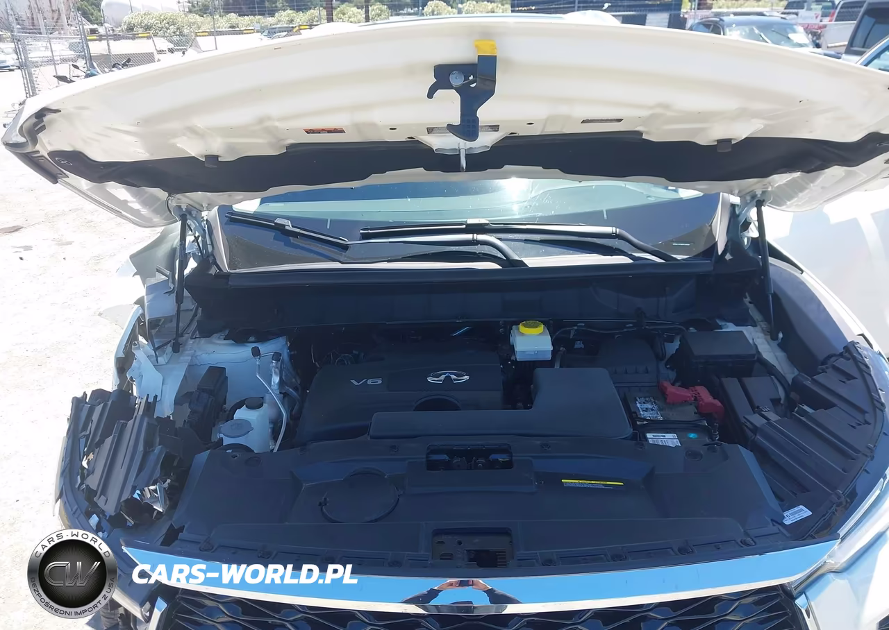 2023 Infiniti Qx60 Luxe Awd VIN:5N1DL1FS5PC349229 - 10