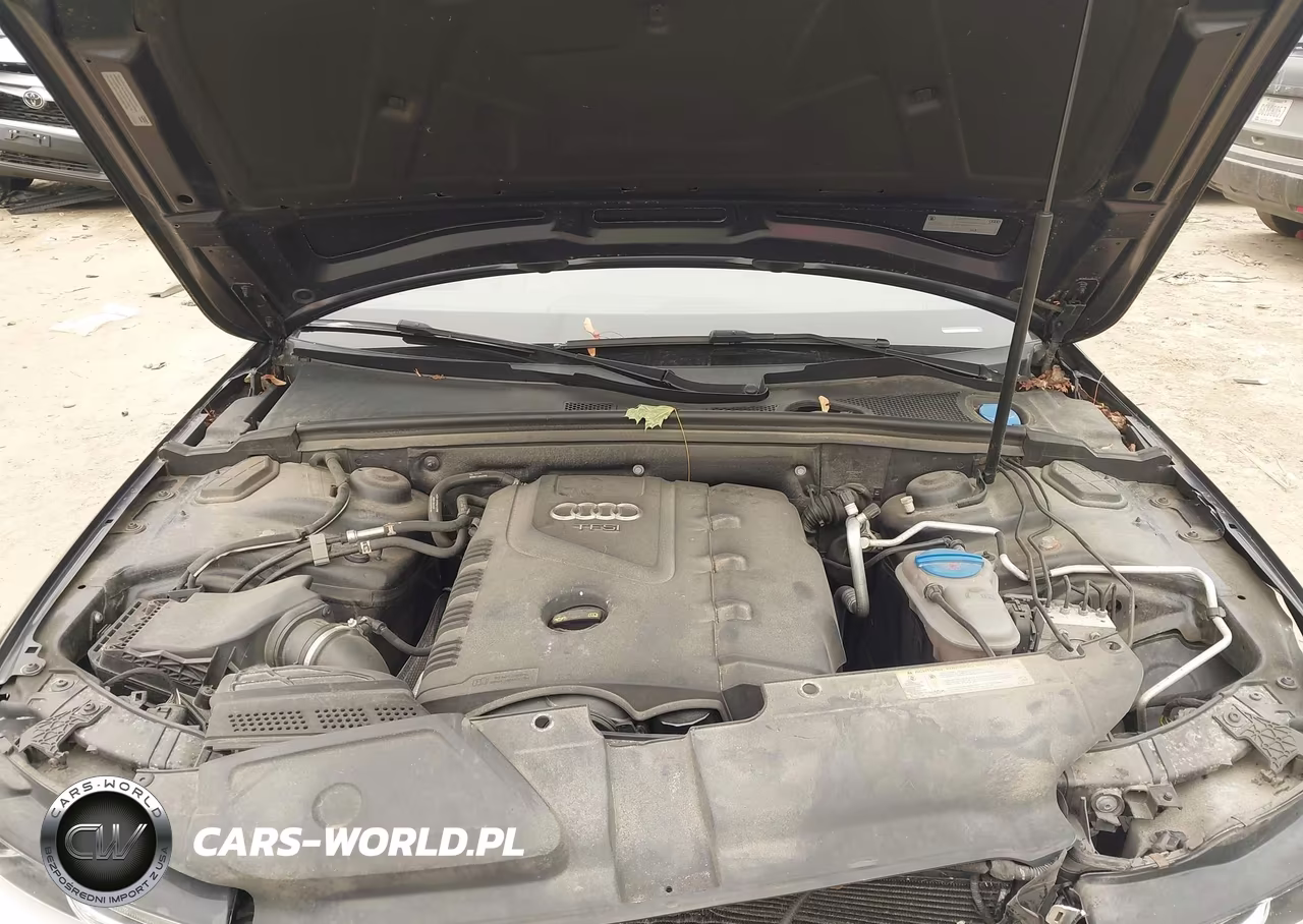 2016 Audi A4 Premium Plus VIN:WAUFFAFL7GN008526 - 10
