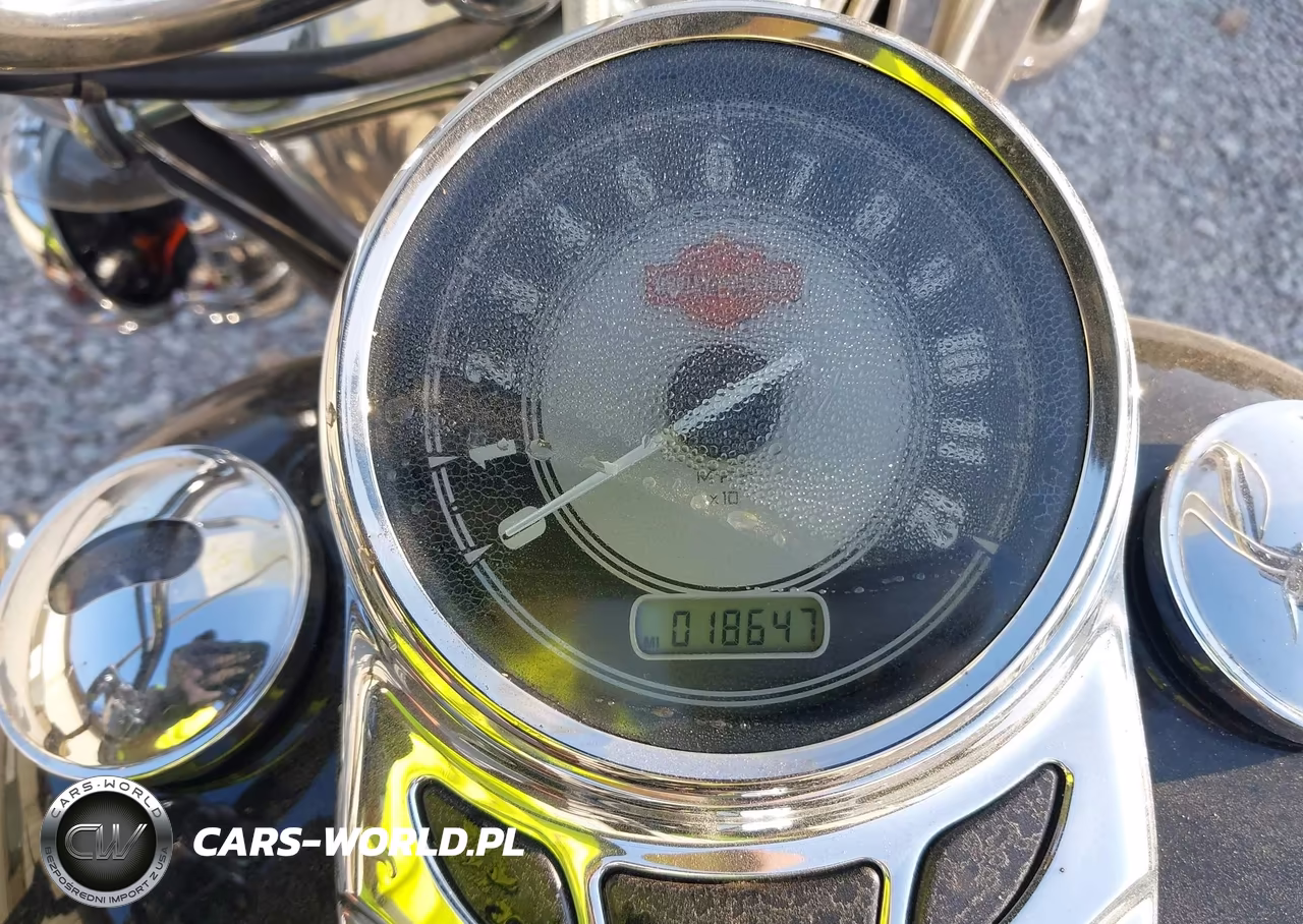2009 Harley-Davidson Flstc VIN:1HD1BW5189Y036745 - 7