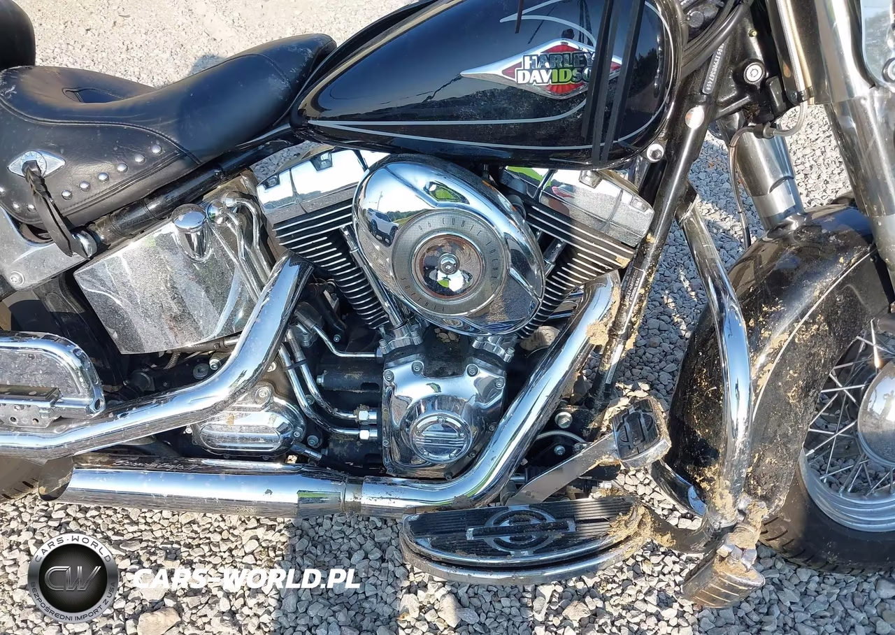 2009 Harley-Davidson Flstc VIN:1HD1BW5189Y036745 - 8