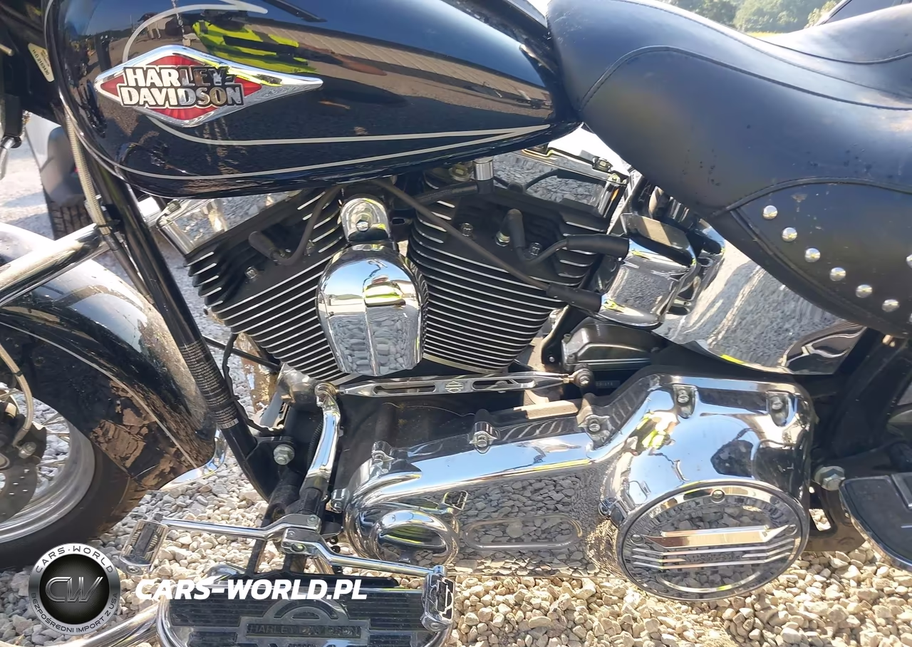 2009 Harley-Davidson Flstc VIN:1HD1BW5189Y036745 - 9