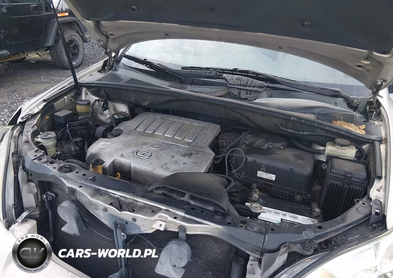 2007 Lexus Rx 350 VIN:2T2GK31U47C009694 - 10