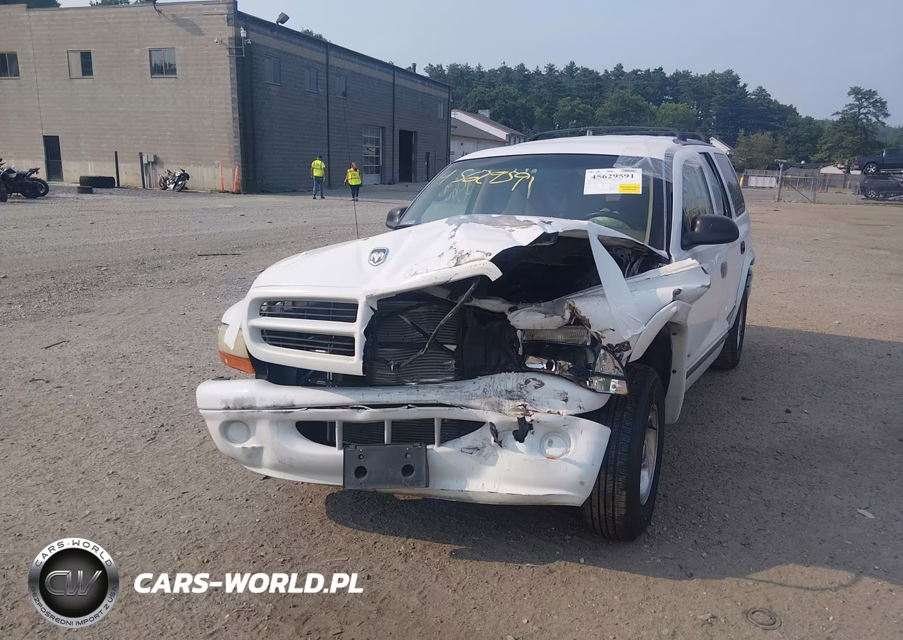 1999 Dodge Durango VIN:1B4HR28Z4XF710918 - 12