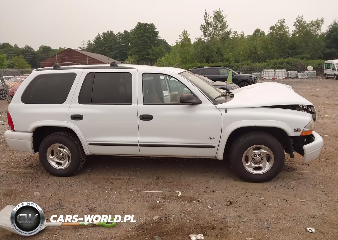 1999 Dodge Durango VIN:1B4HR28Z4XF710918 - 13