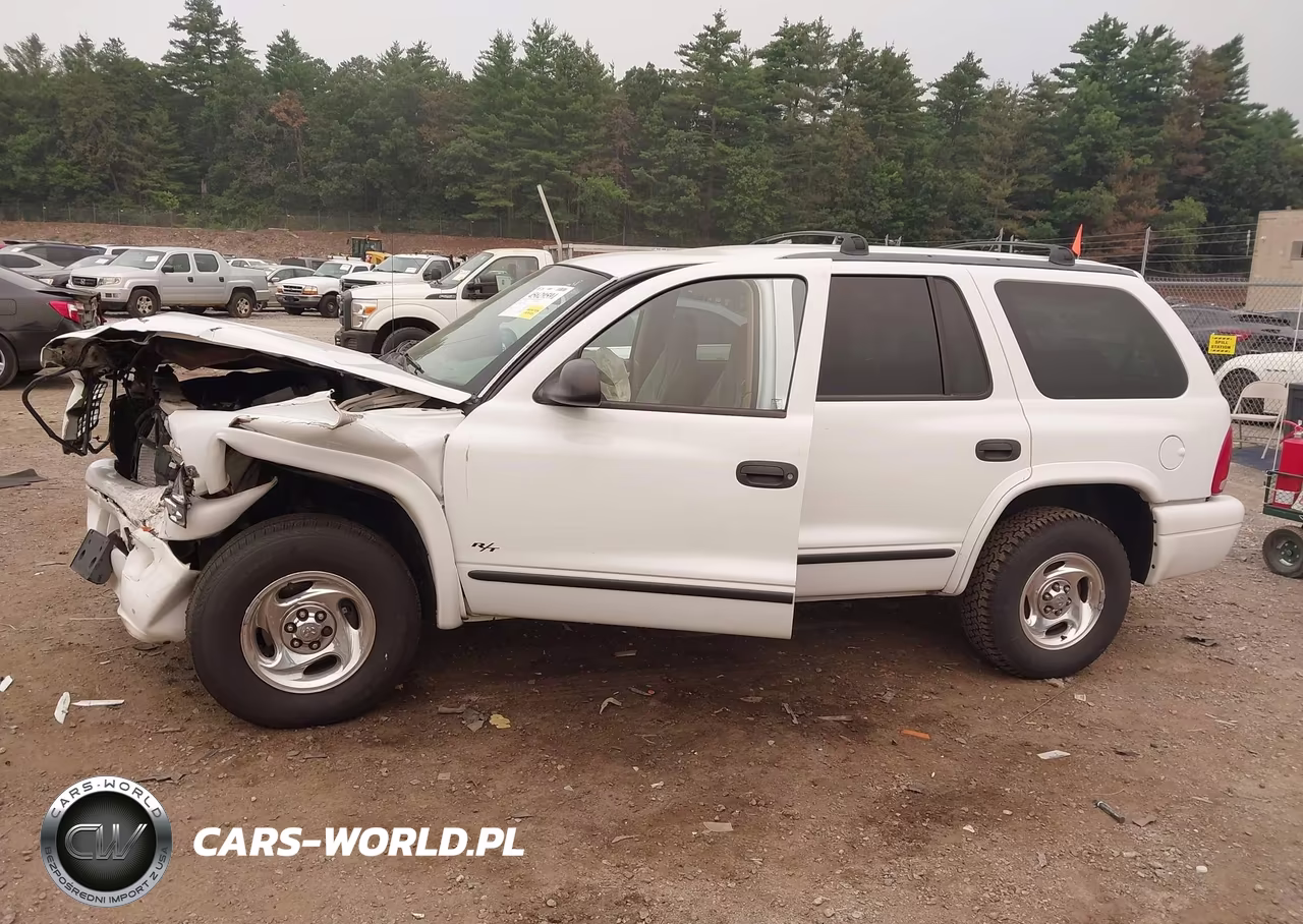 1999 Dodge Durango VIN:1B4HR28Z4XF710918 - 14