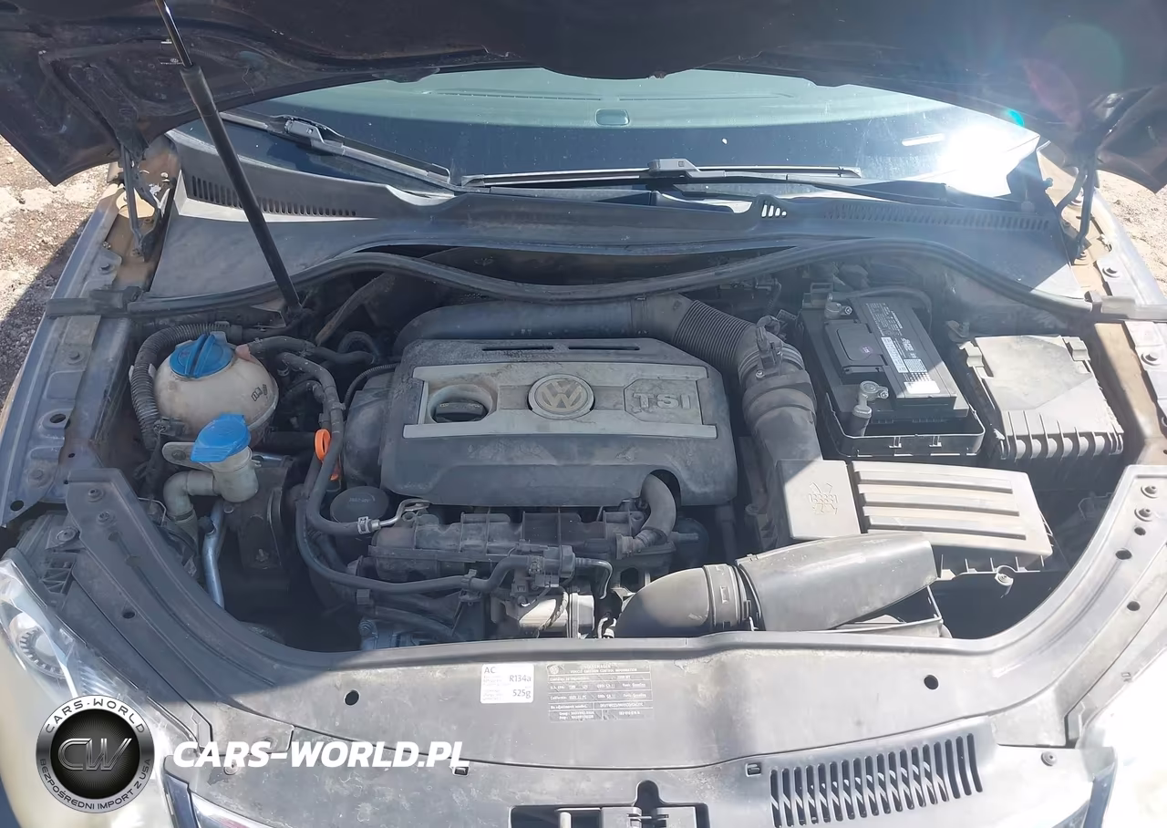 2009 Volkswagen Eos Lux VIN:WVWFA71F49V021064 - 10