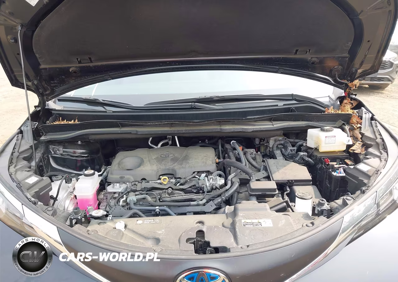 2024 Toyota Sienna Xle VIN:5TDJRKEC2RS203930 - 10