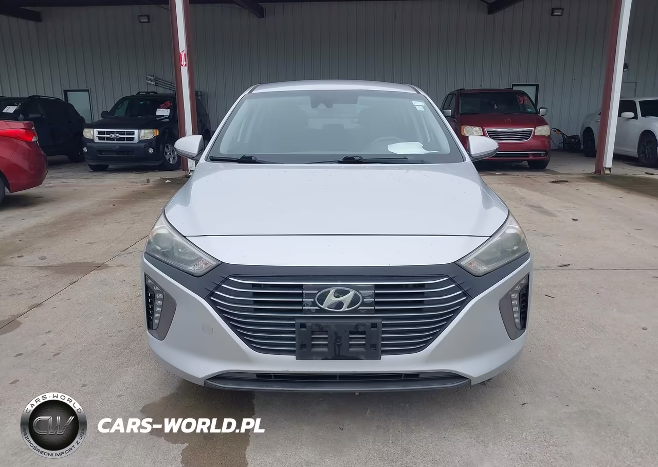 2019 Hyundai Ioniq Hybrid Sel VIN:KMHC75LC8KU106893 - 12