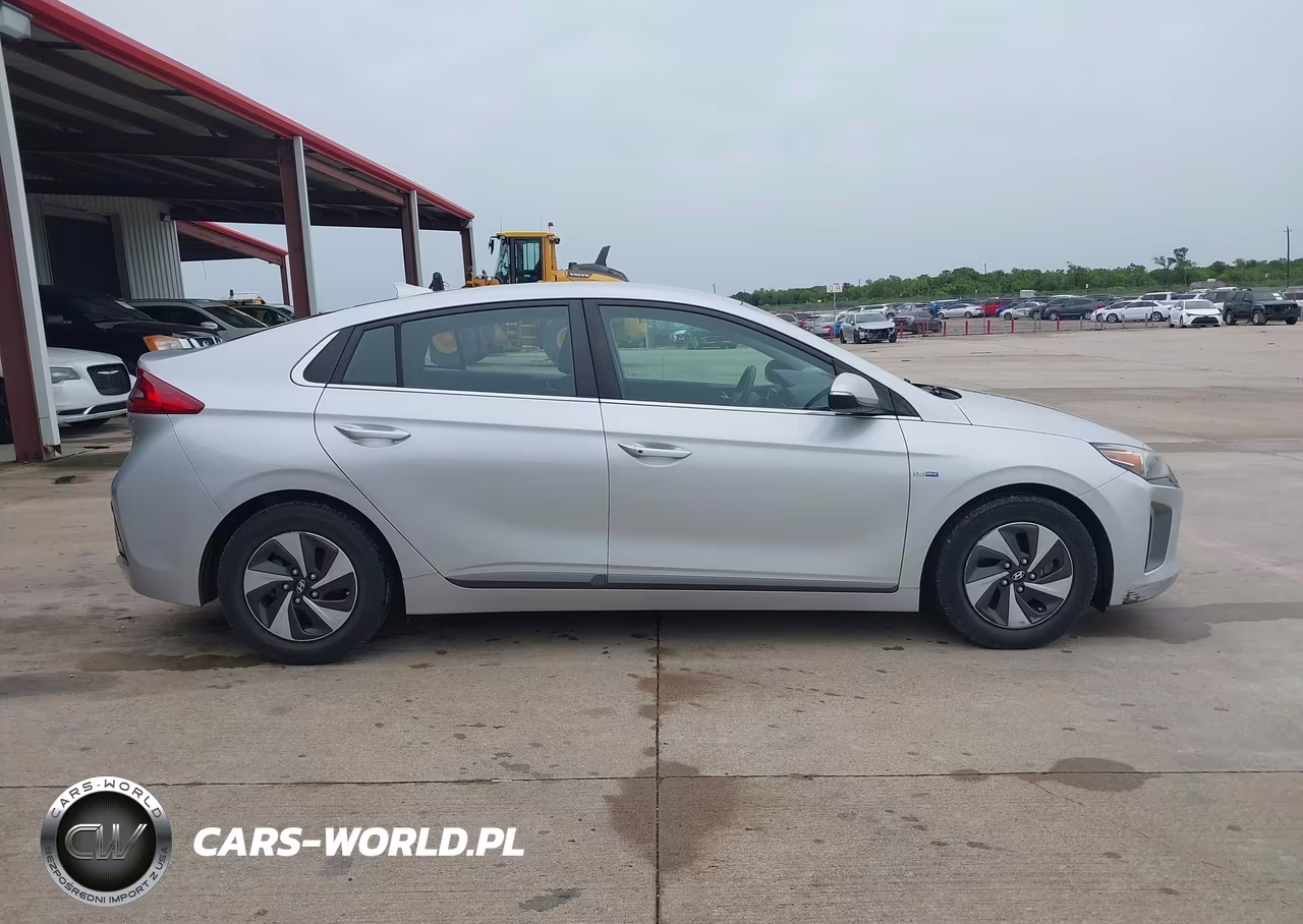 2019 Hyundai Ioniq Hybrid Sel VIN:KMHC75LC8KU106893 - 13