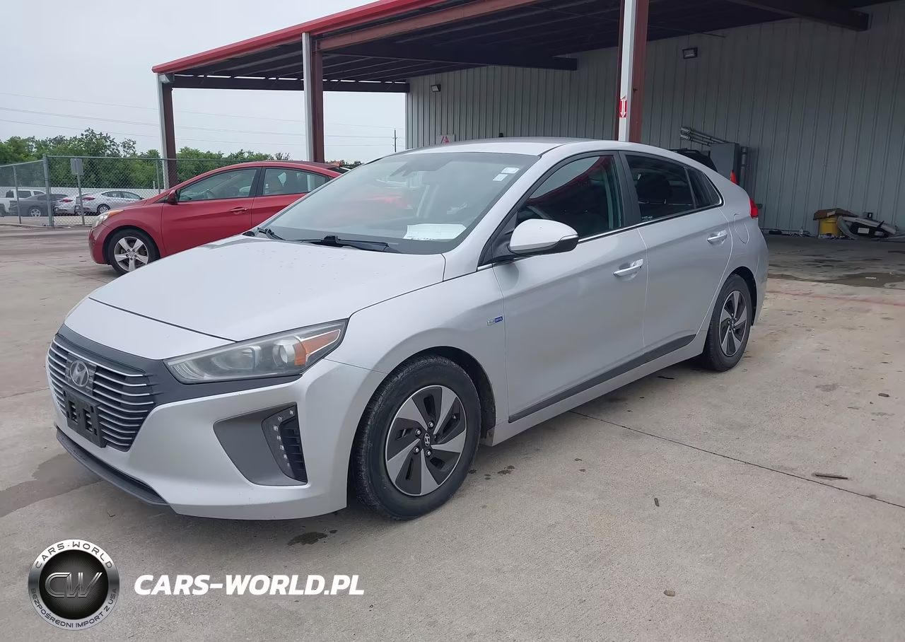 2019 Hyundai Ioniq Hybrid Sel VIN:KMHC75LC8KU106893 - 2