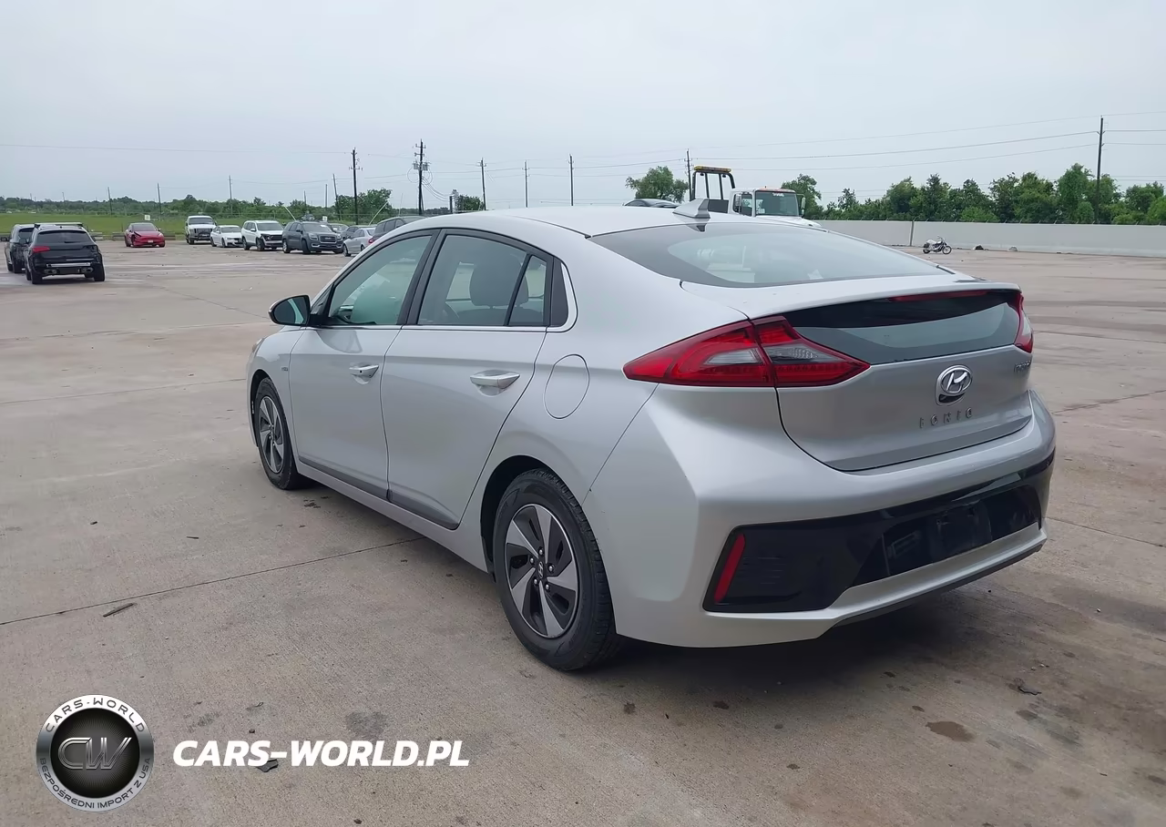 2019 Hyundai Ioniq Hybrid Sel VIN:KMHC75LC8KU106893 - 3