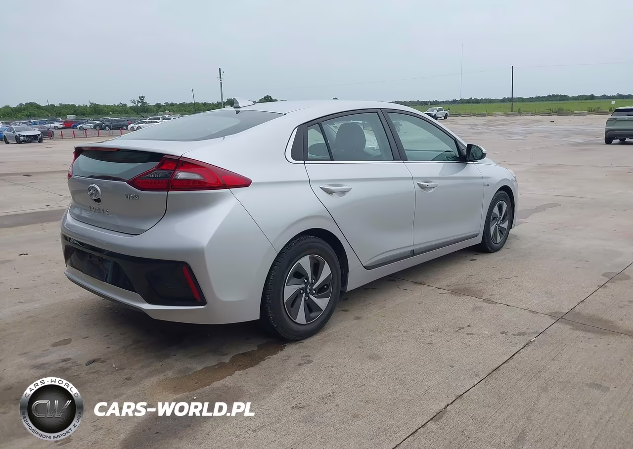 2019 Hyundai Ioniq Hybrid Sel VIN:KMHC75LC8KU106893 - 4