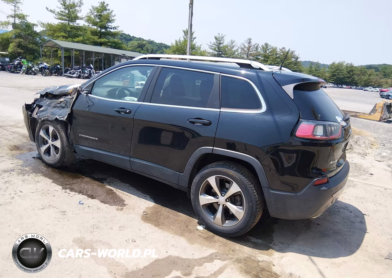 2019 Jeep Cherokee Limited 4X4 VIN:1C4PJMDX3KD134975 - 3