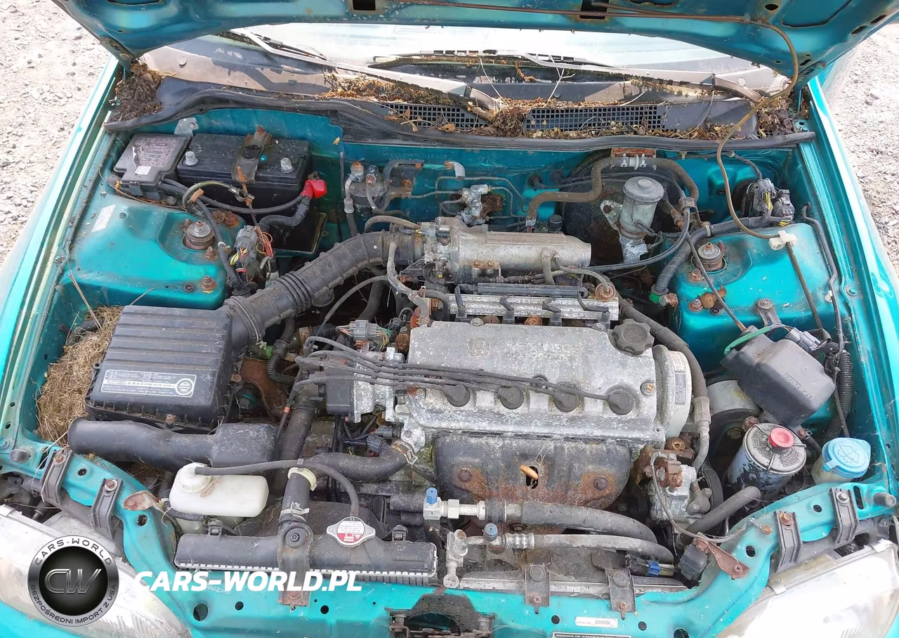 1994 Honda Civic Ex VIN:1HGEJ1225RL025206 - 10
