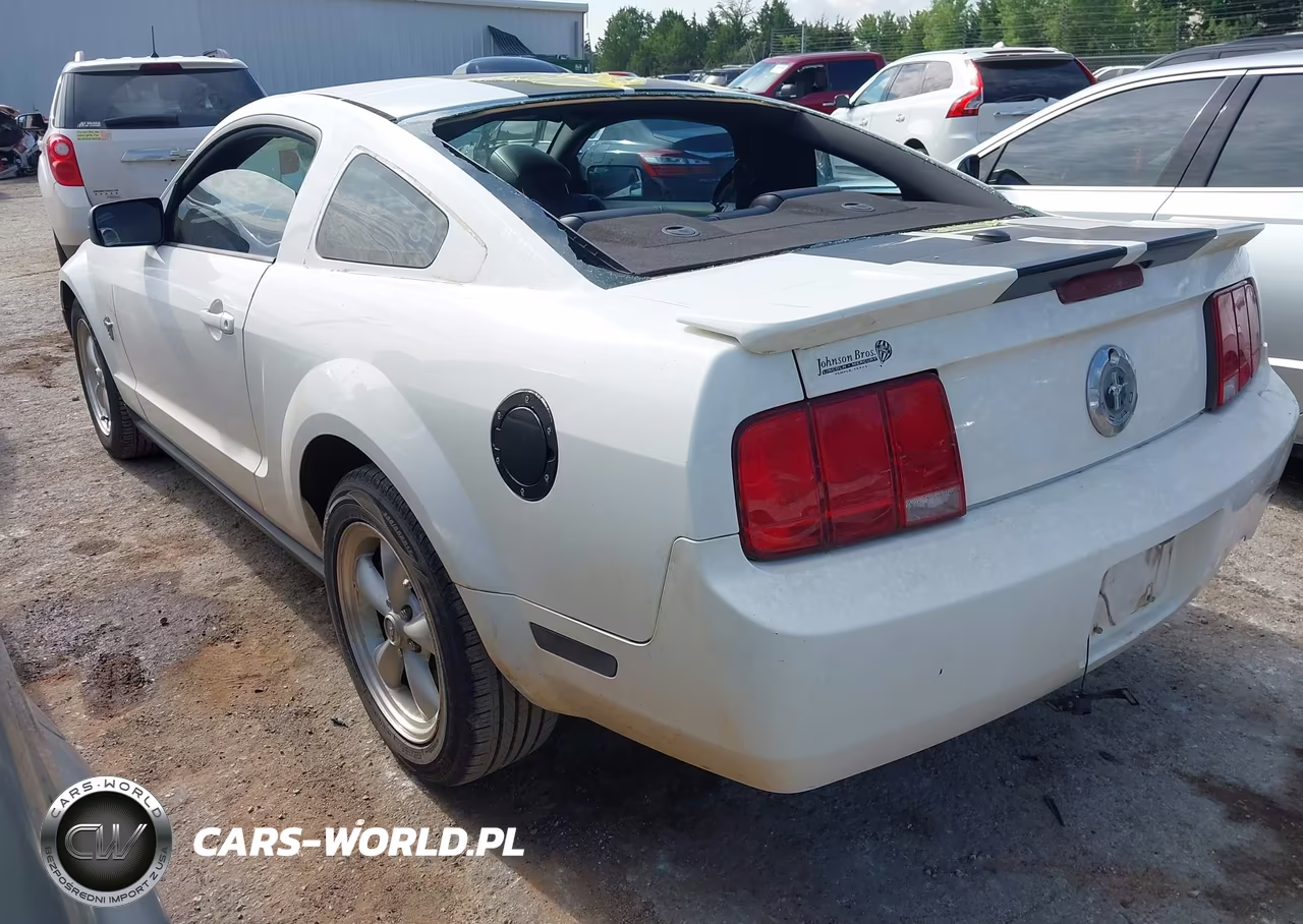 2009 Ford Mustang V6-V6 Premium VIN:1ZVHT80N395146216 - 3