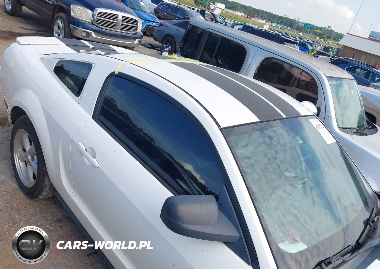 2009 Ford Mustang V6-V6 Premium VIN:1ZVHT80N395146216 - 6