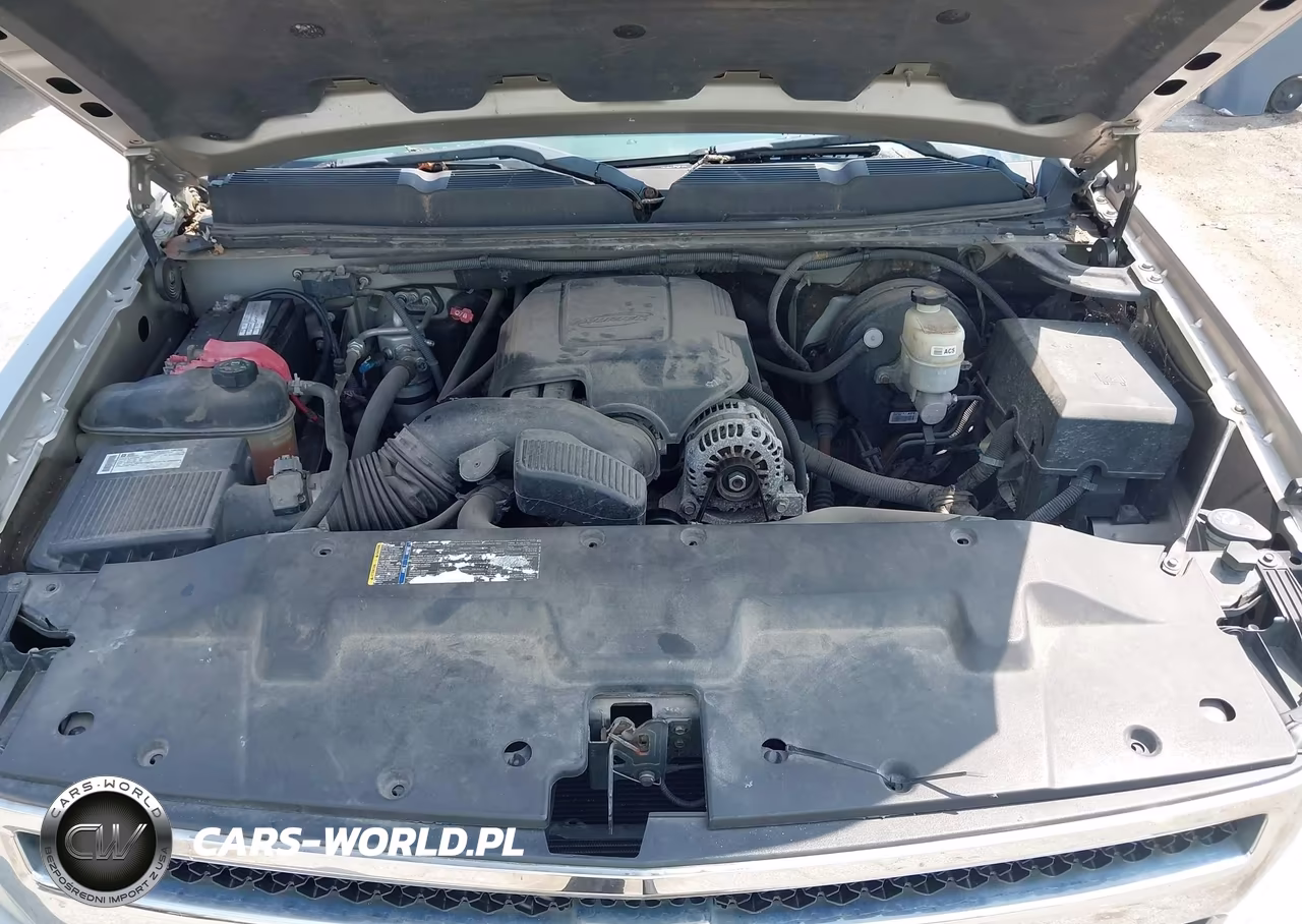 2009 Chevrolet Silverado 1500 Lt VIN:1GCEK29019Z152490 - 10