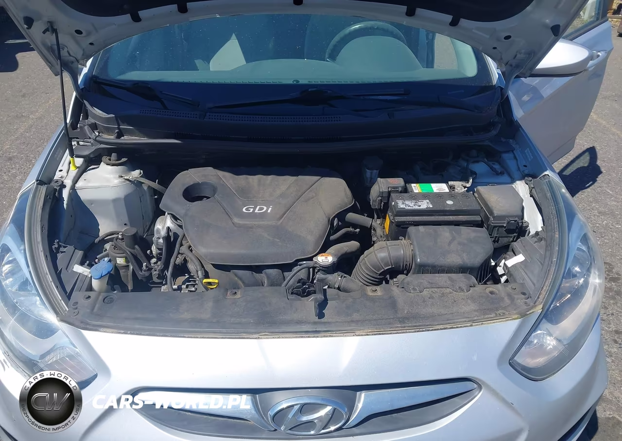 2014 Hyundai Accent Gls VIN:KMHCT4AE9EU695418 - 10