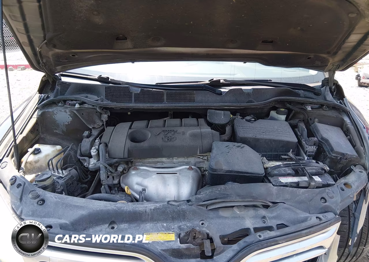 2011 Toyota Venza VIN:4T3BA3BB2BU019850 - 10