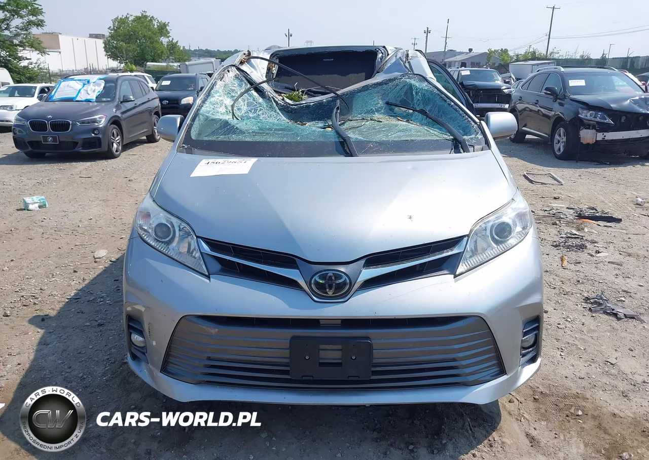 2020 Toyota Sienna Xle VIN:5TDDZ3DC0LS248795 - 11