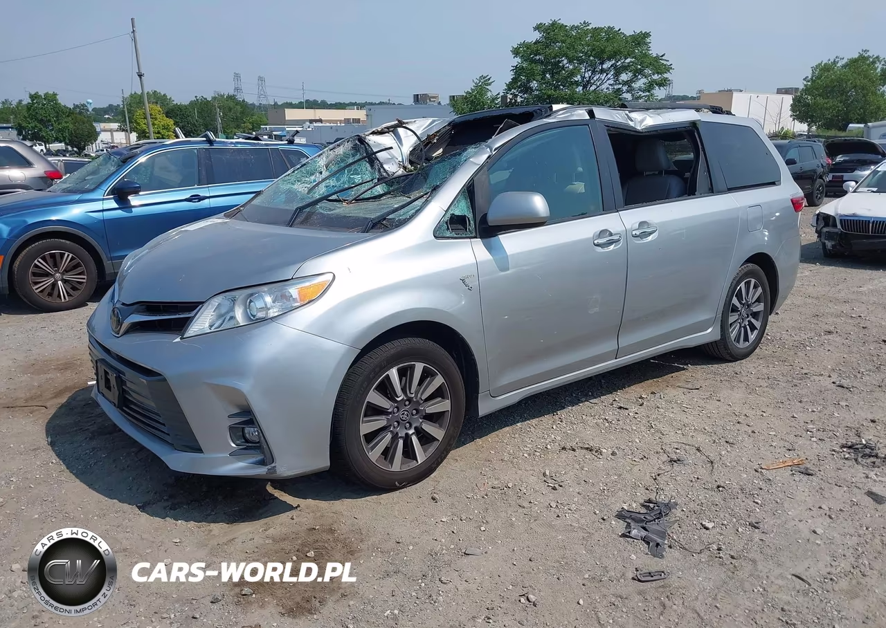 2020 Toyota Sienna Xle VIN:5TDDZ3DC0LS248795 - 2