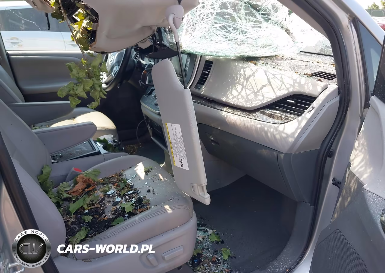 2020 Toyota Sienna Xle VIN:5TDDZ3DC0LS248795 - 5