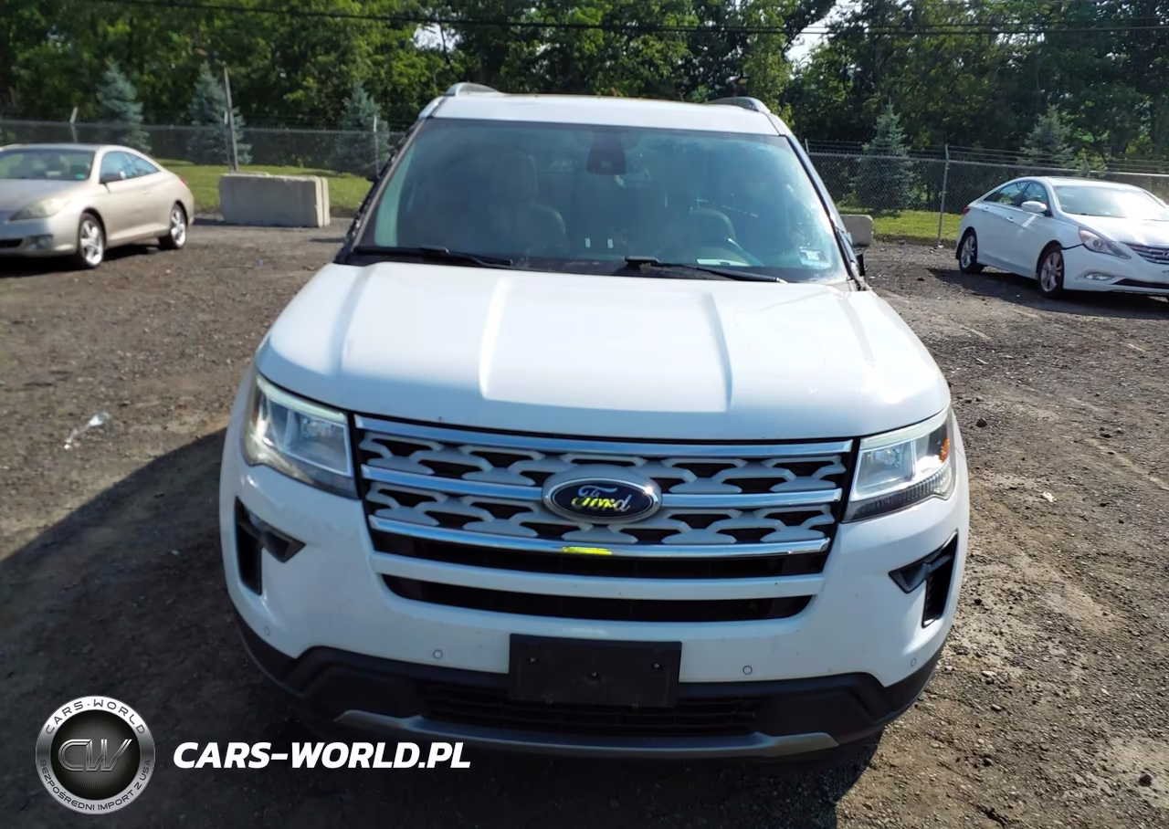 2019 Ford Explorer Xlt VIN:1FM5K8D89KGB19217 - 12